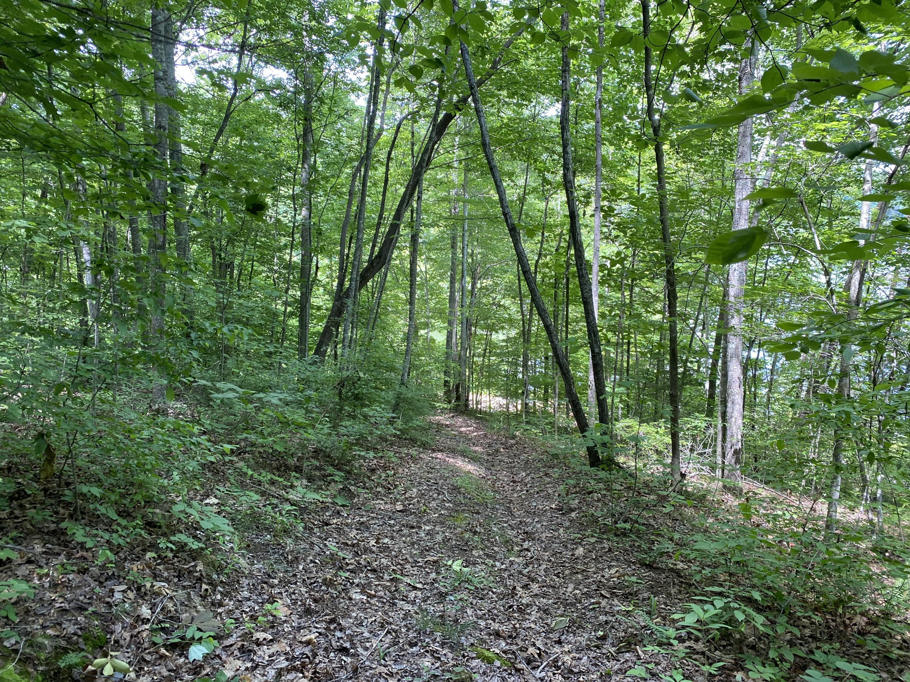 3360 Chaney Ridge Road London, KY 40741 - Photo 18 of 34 89D72F1A-CA5A-4933-8924-748E3E4E8990