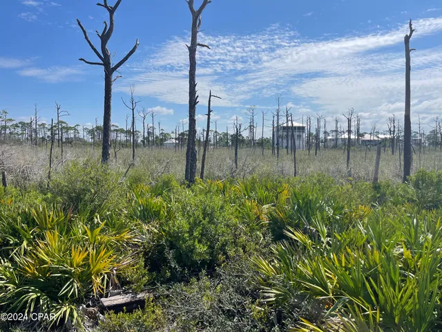 $309,900 | 206 Bent Tree Road, Port St. Joe, FL 32456