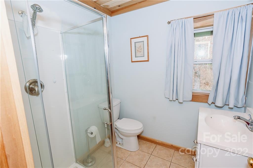 300 Boyd Road Leicester, NC 28748 - Photo 41 of 46 a bathroom with a granite countertop sink a toilet and a mirror