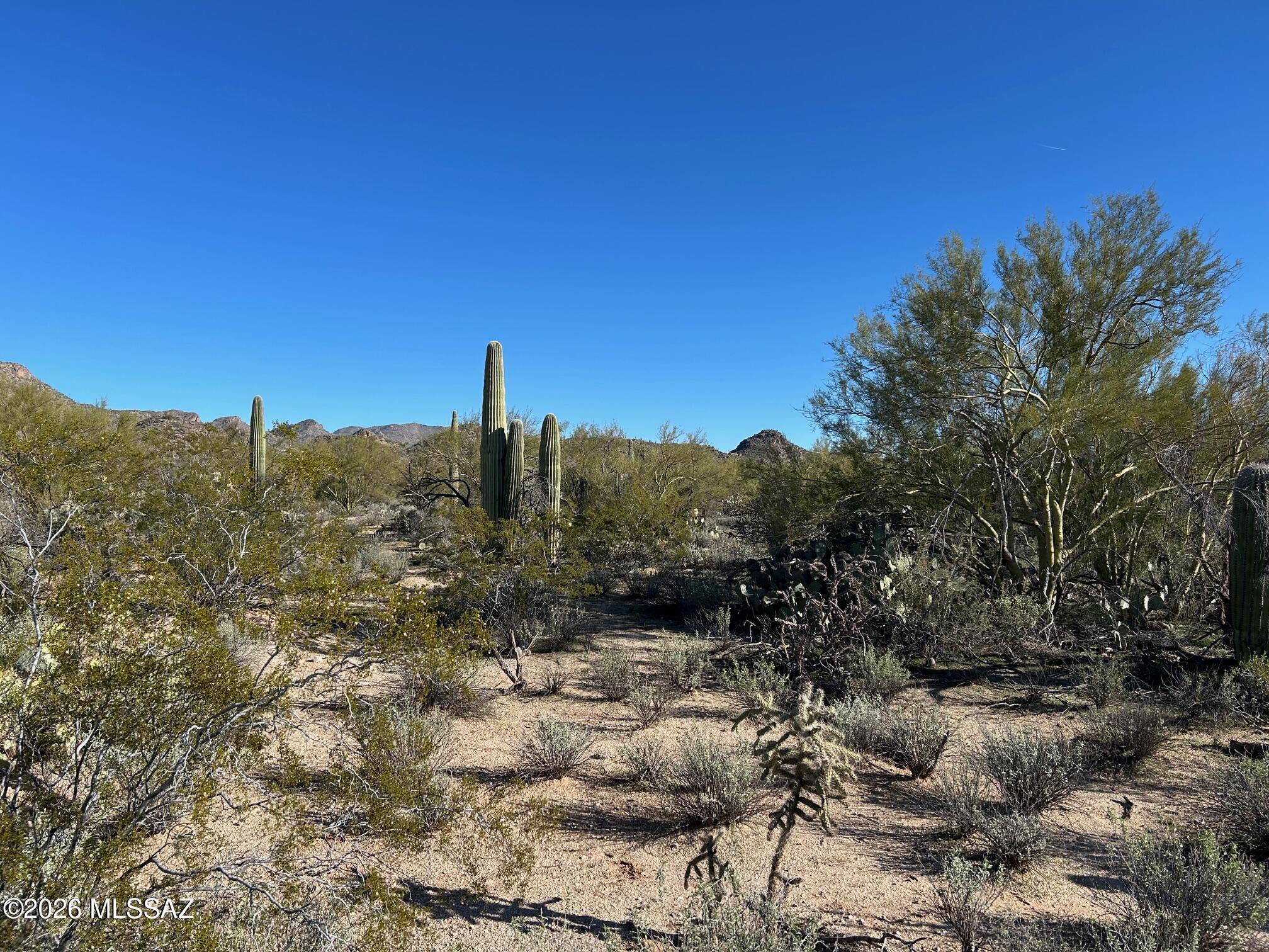 3980 West Moore Road, Unit 2 Marana, AZ 85658 - Photo 5 of 13