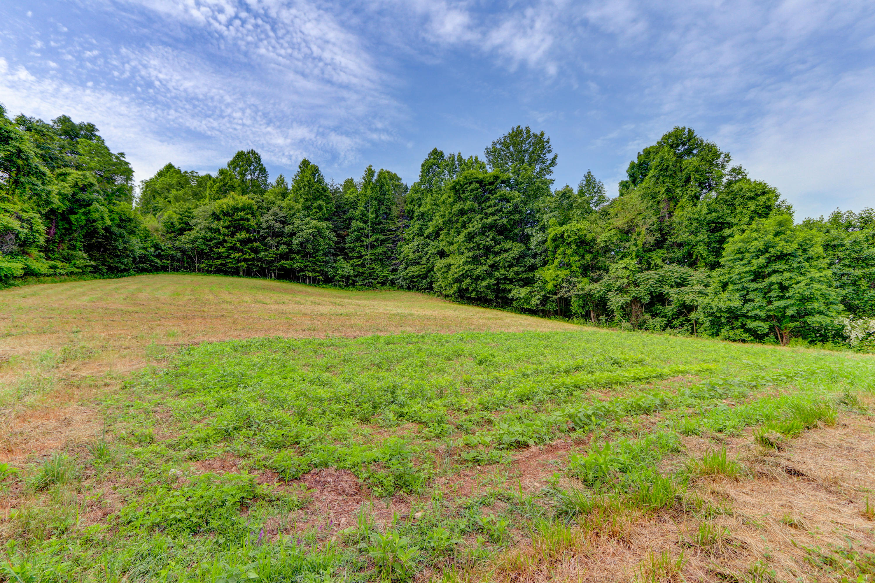 497 Chestnut Stump Road La Follette, TN 37766 - Photo 19 of 25 Positive Perceptions-19