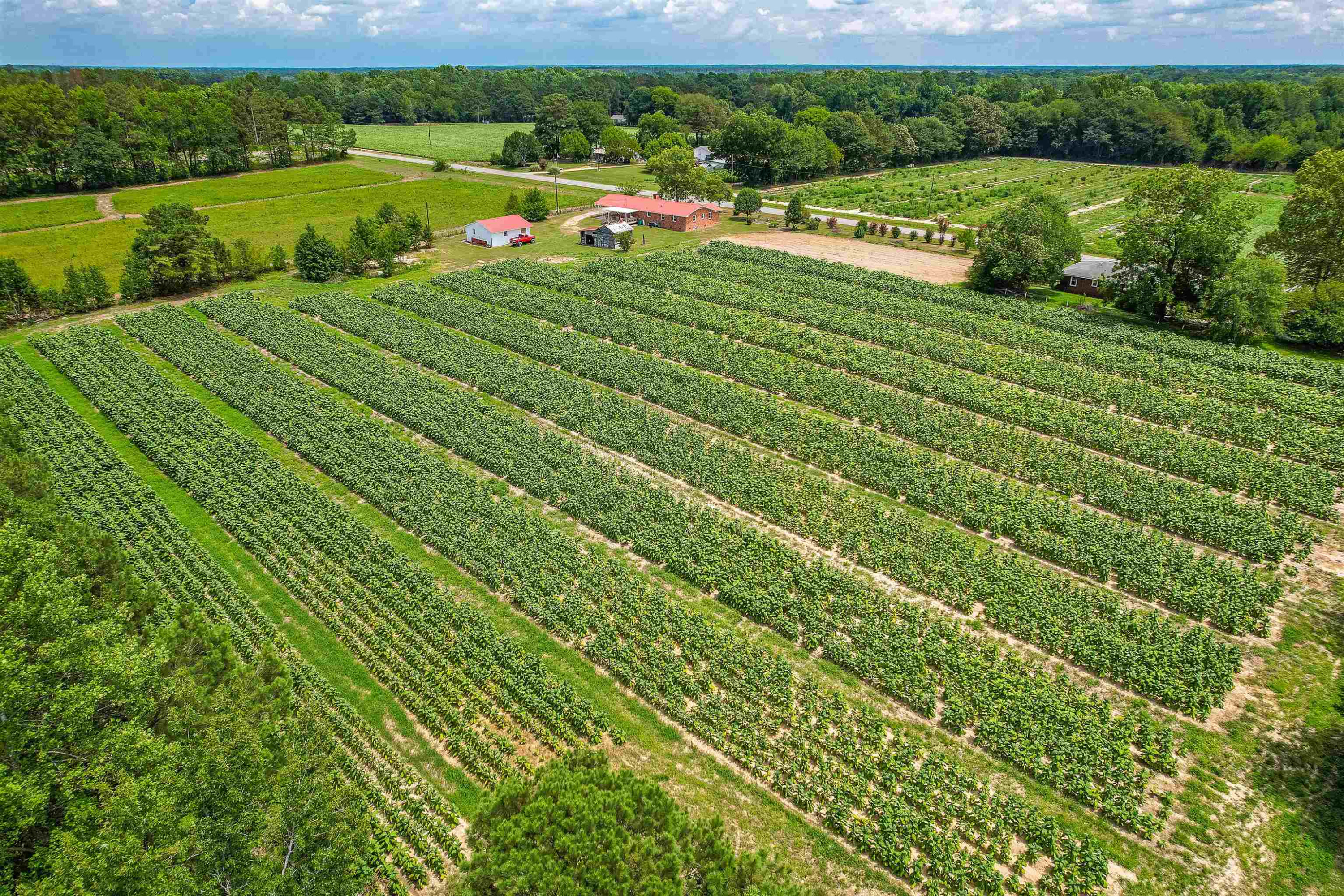 420 Faith Church Road Four Oaks, NC 27524 - Photo 6 of 36 a view of a golf course with a lake