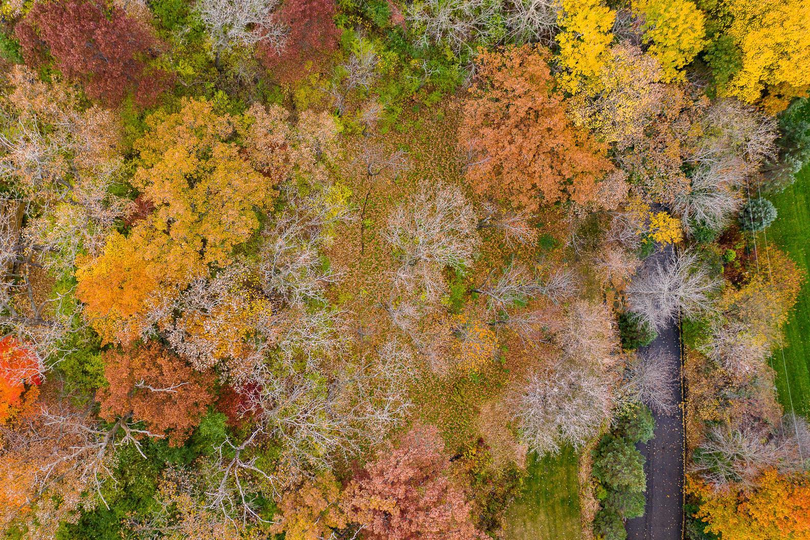 7106 Valley View Road Edina, MN 55439 - Photo 8 of 27