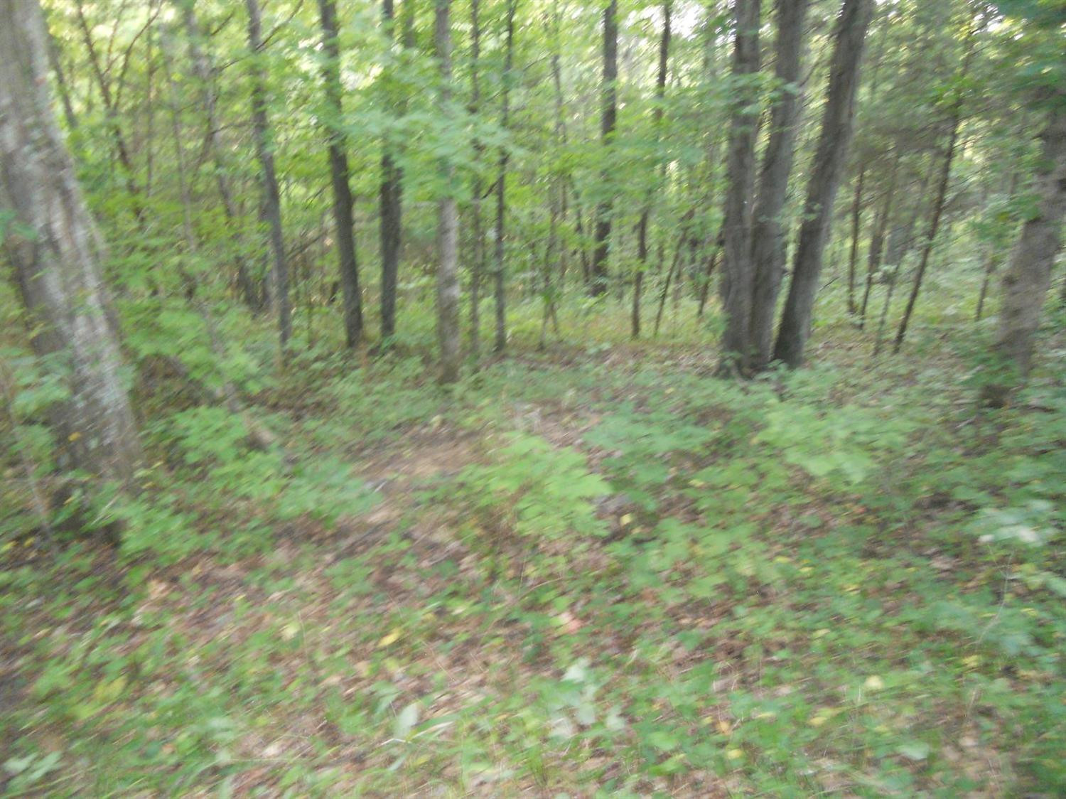 4164 Bardstown Road Lawrenceburg, KY 40342 - Photo 8 of 22 Photo 8