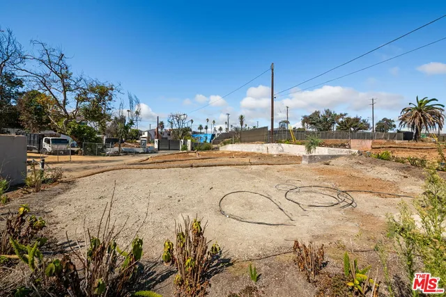 a view of a park with benches and palm trees