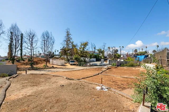 a view of a yard with trees in the background