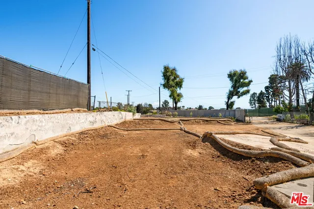 view of a tree in front of a house