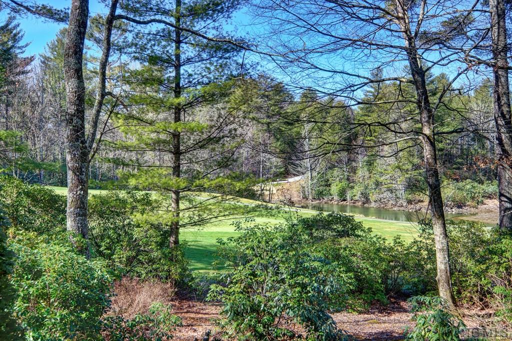 172 Rushing Spring Lane Sapphire, NC 28774 - Photo 12 of 24 Gallery Image 12