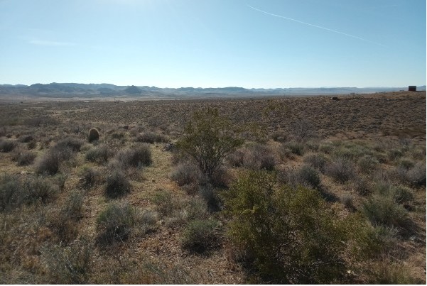 308-11-052 North Rose Quartz Road Chloride, AZ 86431 - Photo 12 of 12 Expansive open terrain with natural vegetation, providing vast panoramic views of the distant mountains and clear skies
