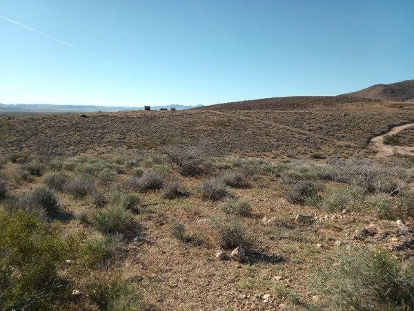 308-11-052 North Rose Quartz Road Chloride, AZ 86431 - Photo 4 of 12 Expansive property featuring varied terrain with a natural ground cover and distant views of the horizon