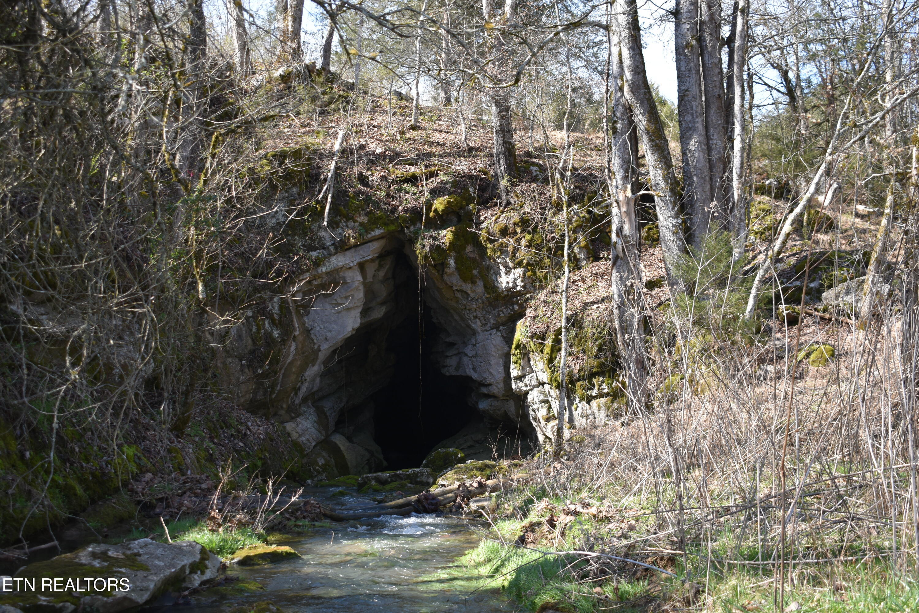2645 Cedar Fork Road Tazewell, TN 37879 - Photo 11 of 13 DSC_0747