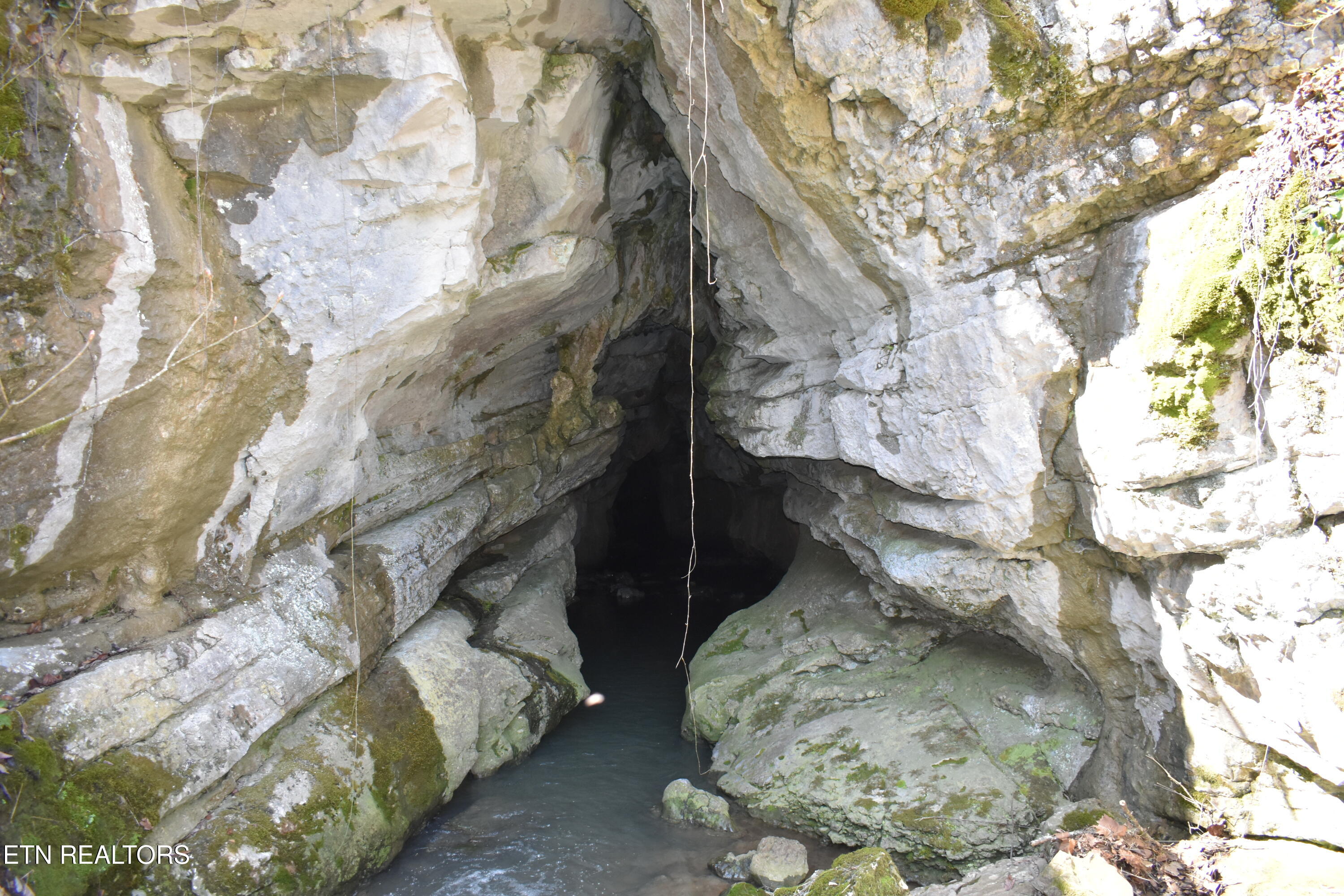 2645 Cedar Fork Road Tazewell, TN 37879 - Photo 9 of 13 DSC_0740