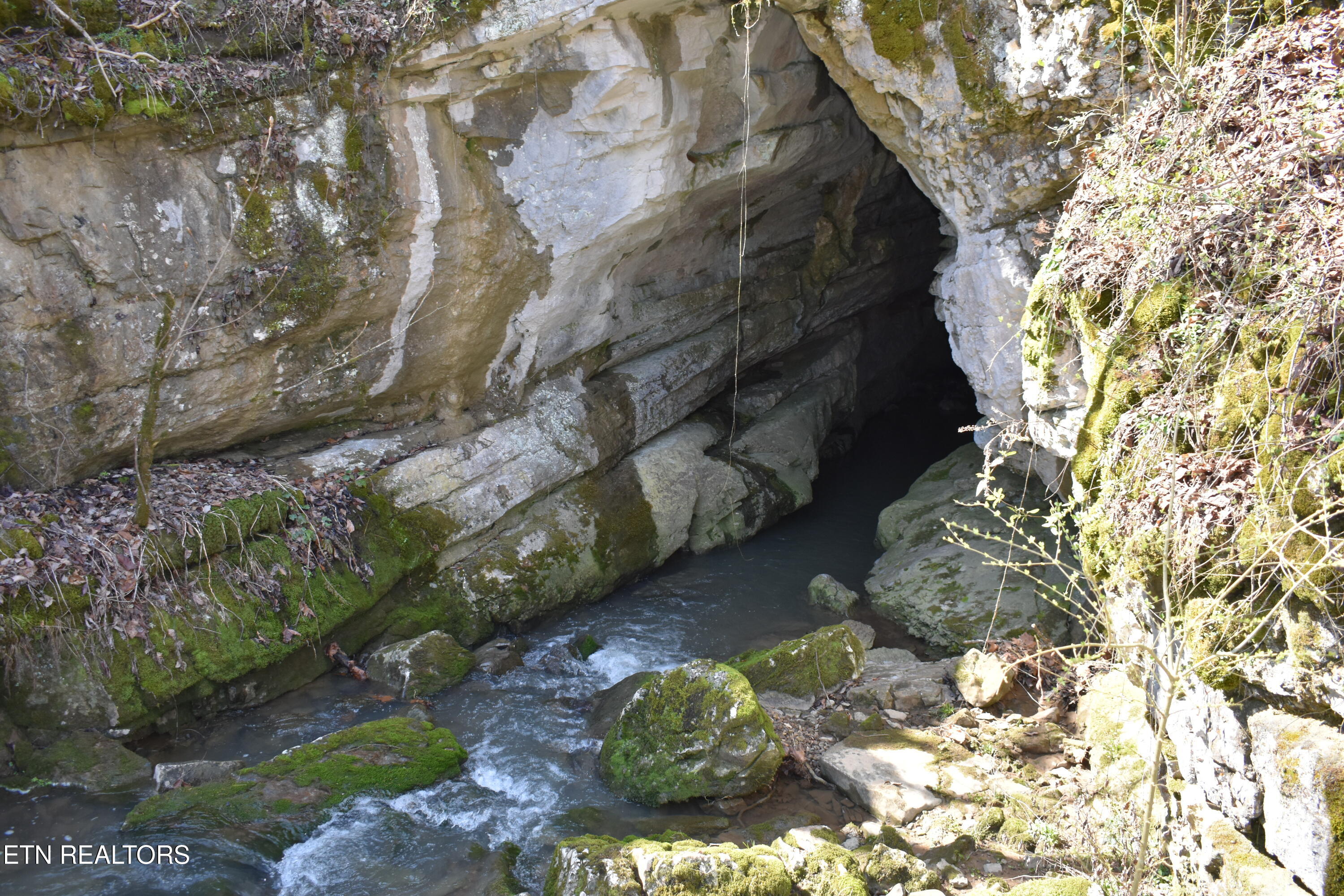 2645 Cedar Fork Road Tazewell, TN 37879 - Photo 10 of 13 DSC_0743