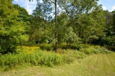 6550 Lincoln Lake Road Northeast Belding, MI 48809 - Photo 26 of 32 LL_32