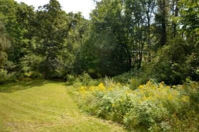 6550 Lincoln Lake Road Northeast Belding, MI 48809 - Photo 27 of 32 LL_33