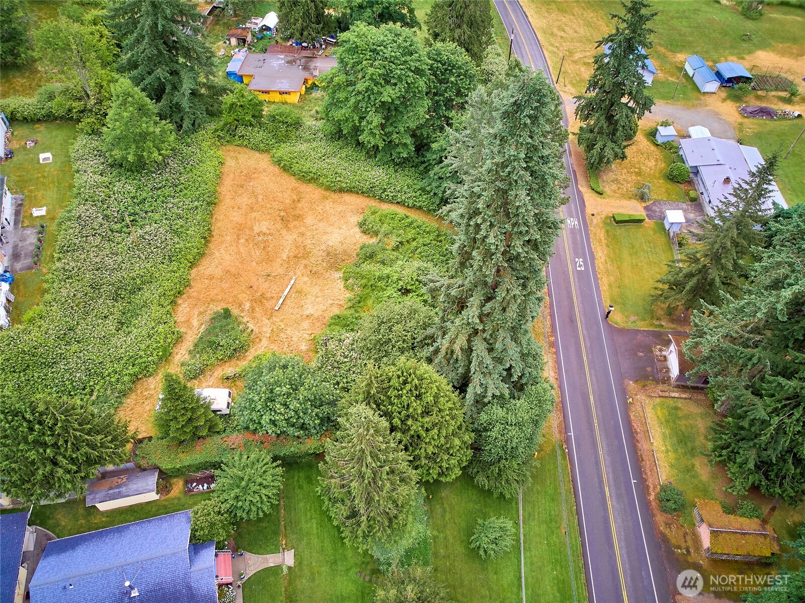 a view of a yard with plants