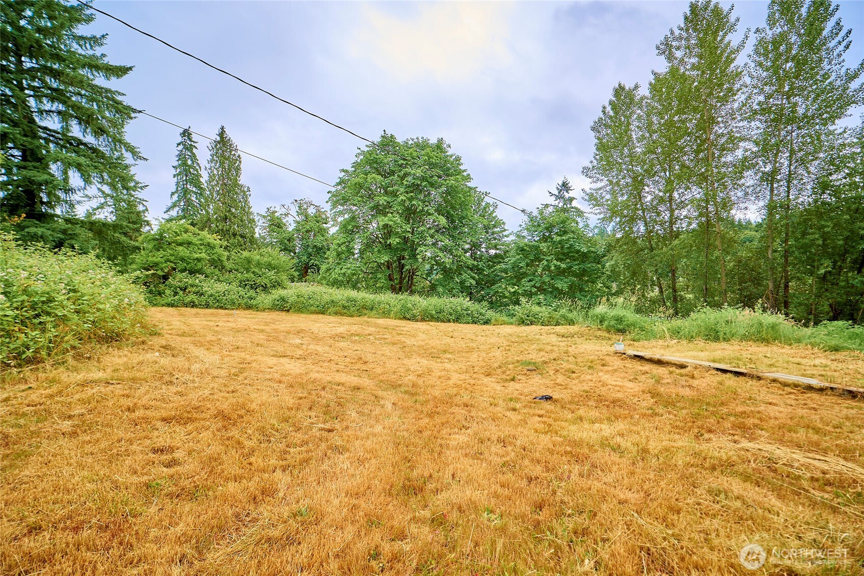 16718 Southeast May Valley Road Renton, WA 98059 - Photo 9 of 12 a view of a yard with a tree