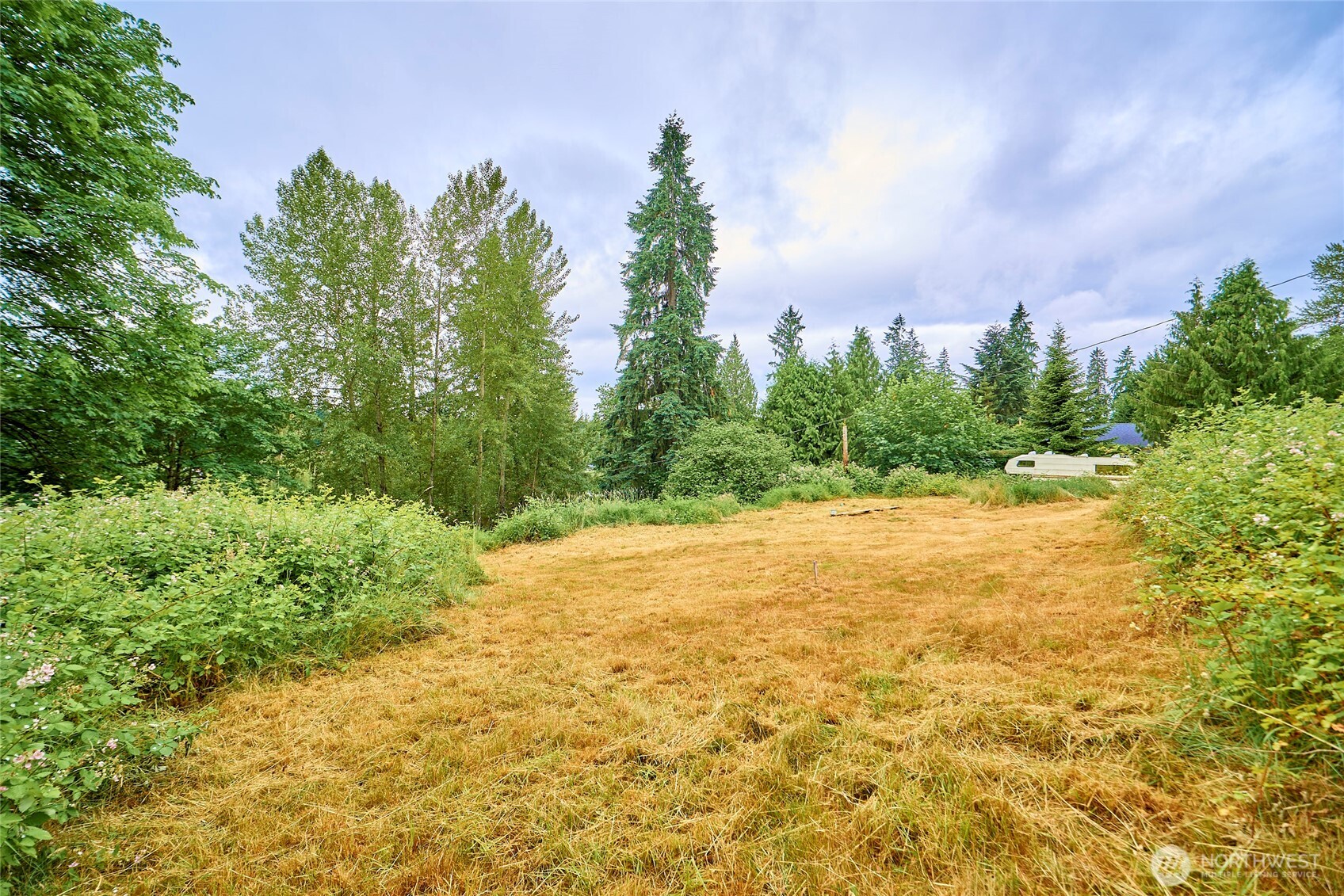 16718 Southeast May Valley Road Renton, WA 98059 - Photo 10 of 12 a view of a yard with an trees and plants