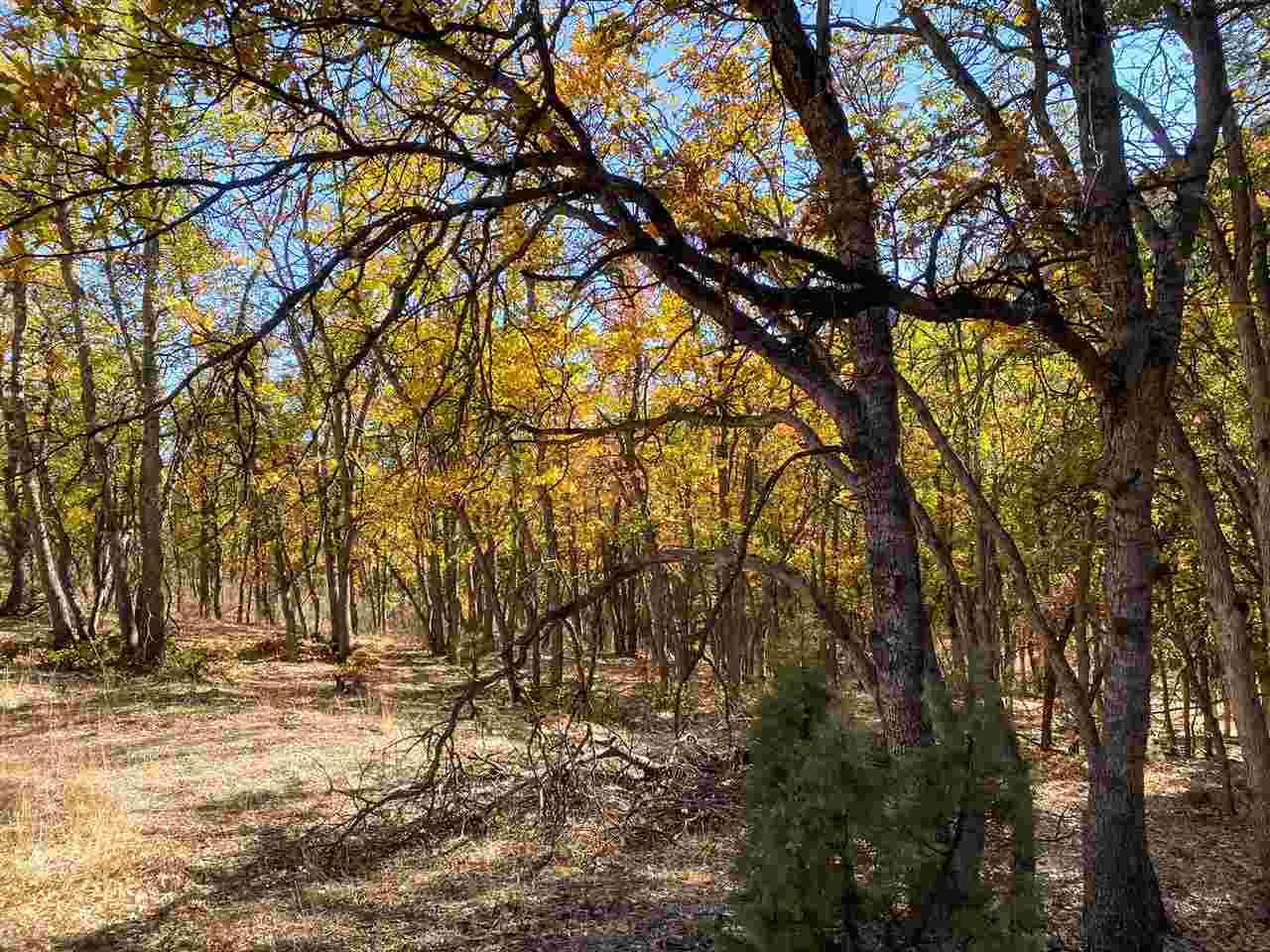 40-acres Scarface Road Gazelle, CA 96034 - Photo 4 of 7 Gallery Image 4