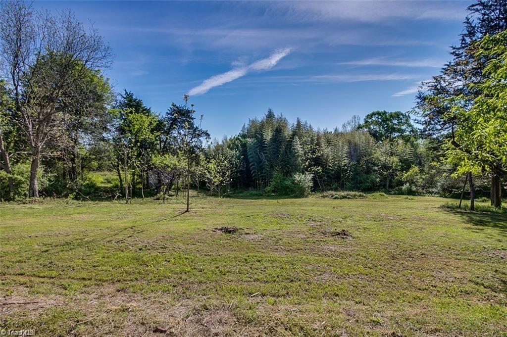 1423 Pleasant Ridge Road Ramseur, NC 27316 - Photo 25 of 30 7+ acres to roam