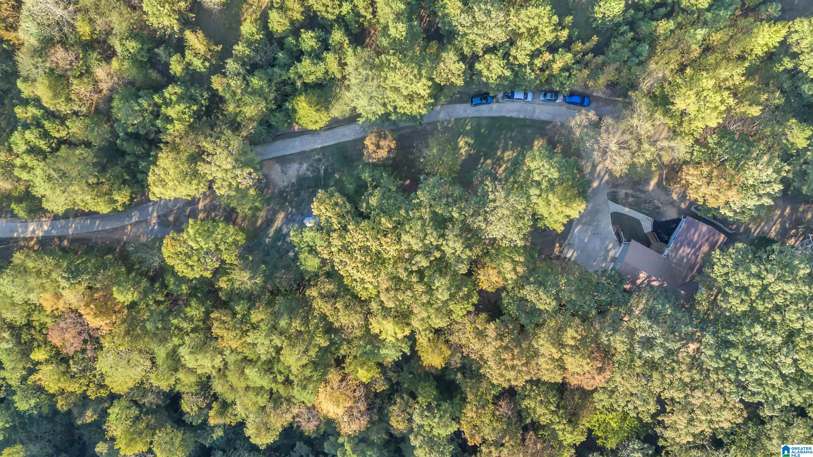 5769 Miles Spring Road Pinson, AL 35126 - Photo 46 of 47