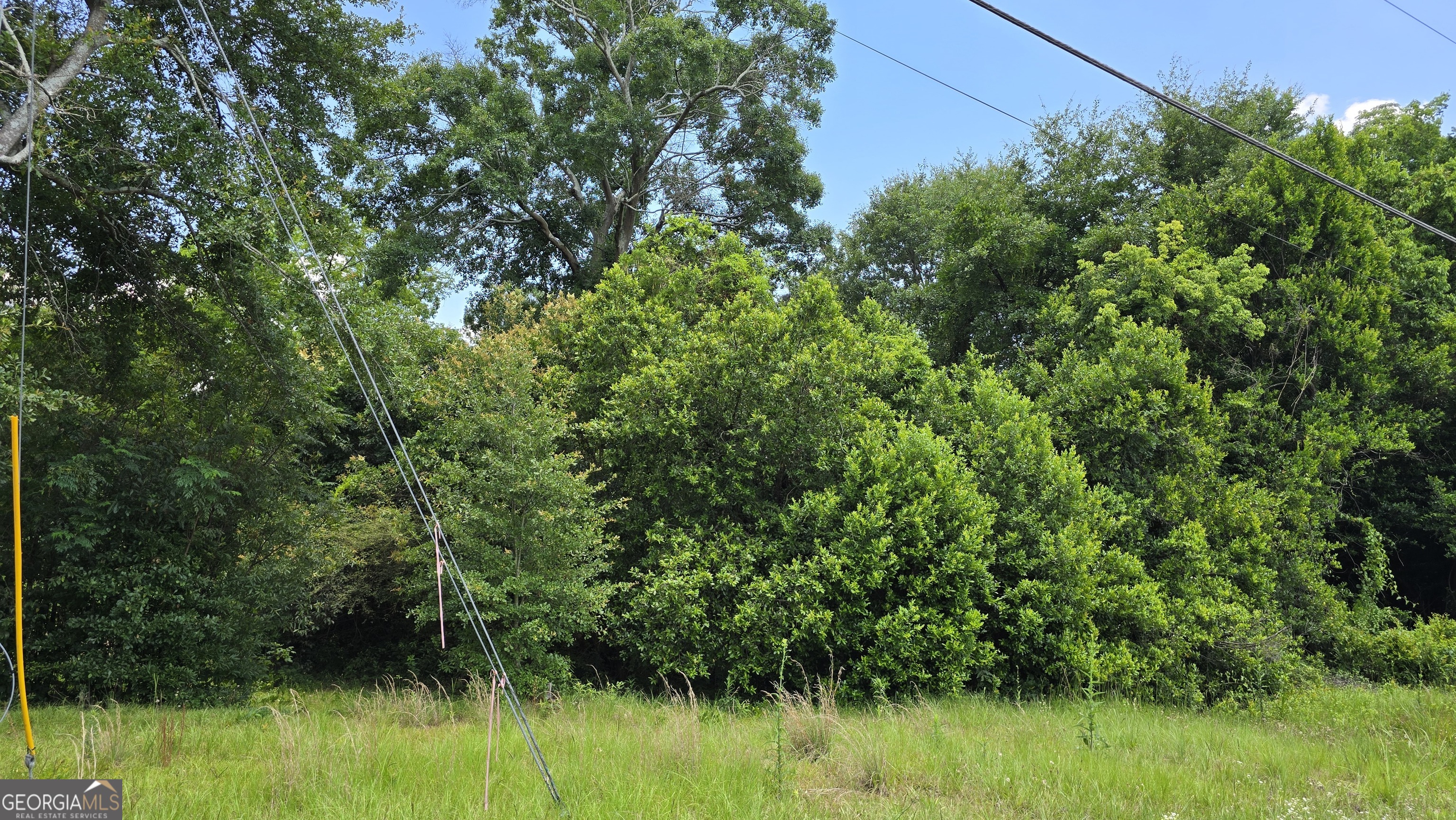 3328 Rice Mill Road Macon, GA 31206 - Photo 1 of 6