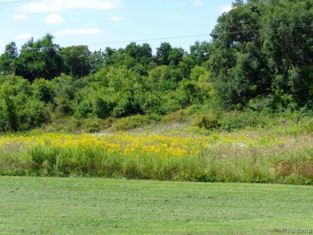 0 Noble Road Oxford, MI 48370 - Photo 11 of 19