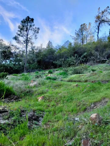 a backyard of a house with lots of green space