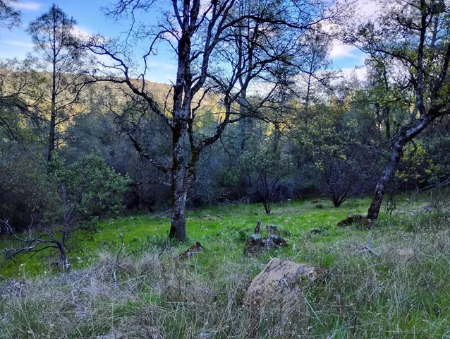 a backyard of a house with lots of green space