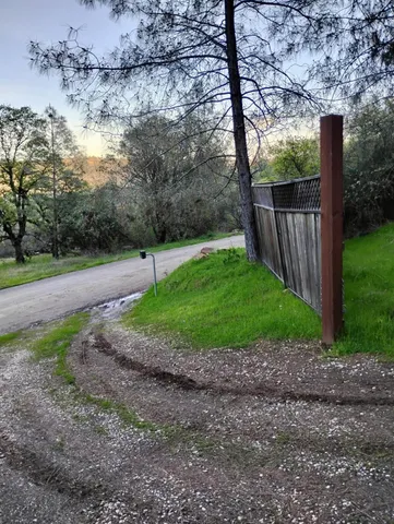 a view of a big yard with large trees