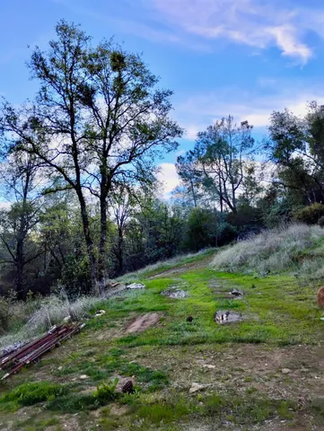 a view of outdoor space with trees all around