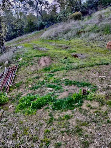 a view of a field with an ocean