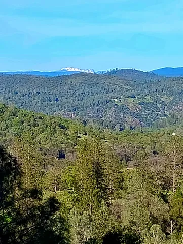 a view of a green field