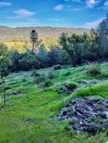 a view of a lake with a yard