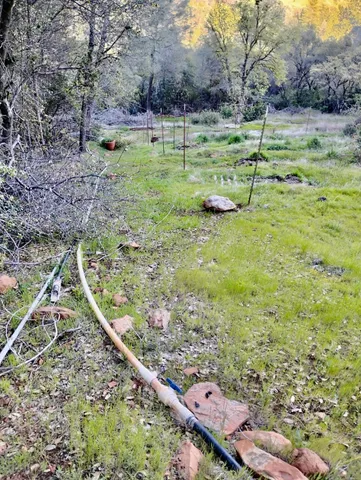 a backyard of a house with lots of green space