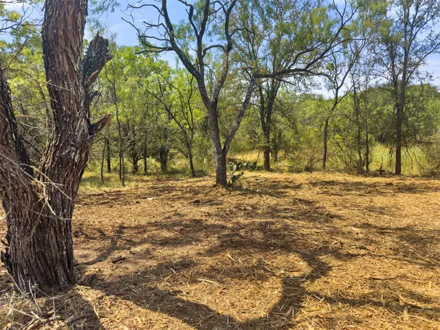 a view of a yard with trees