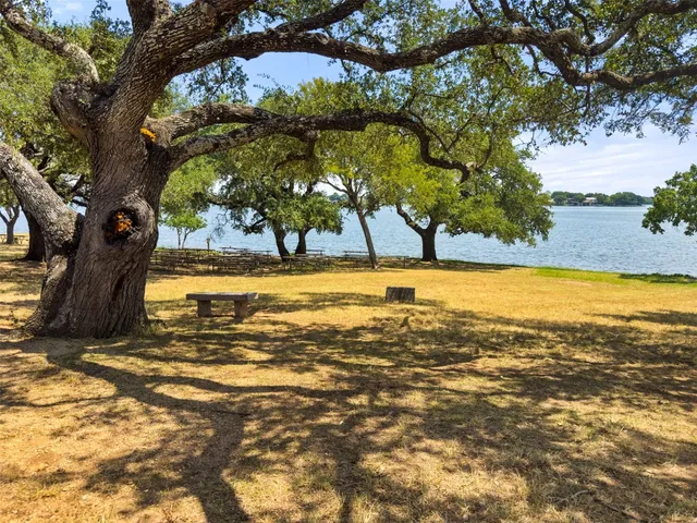 a view of a yard with trees