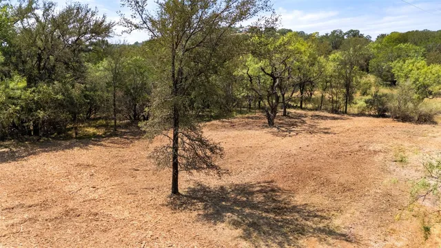 a view of a yard with trees