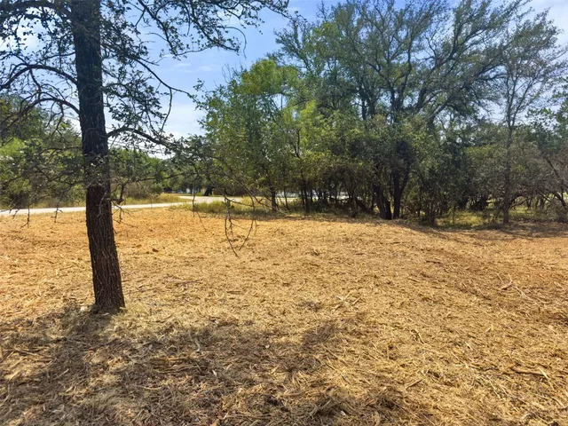 a view of yard with trees