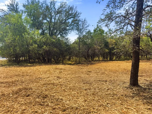 a view of a yard with trees