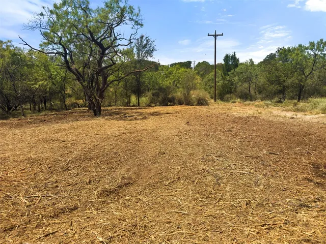 a view of yard with trees