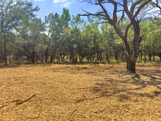 a view of a yard with trees