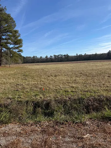 $79,900 | Lot 8 Johnson Shelly Road, Conway, SC 29526