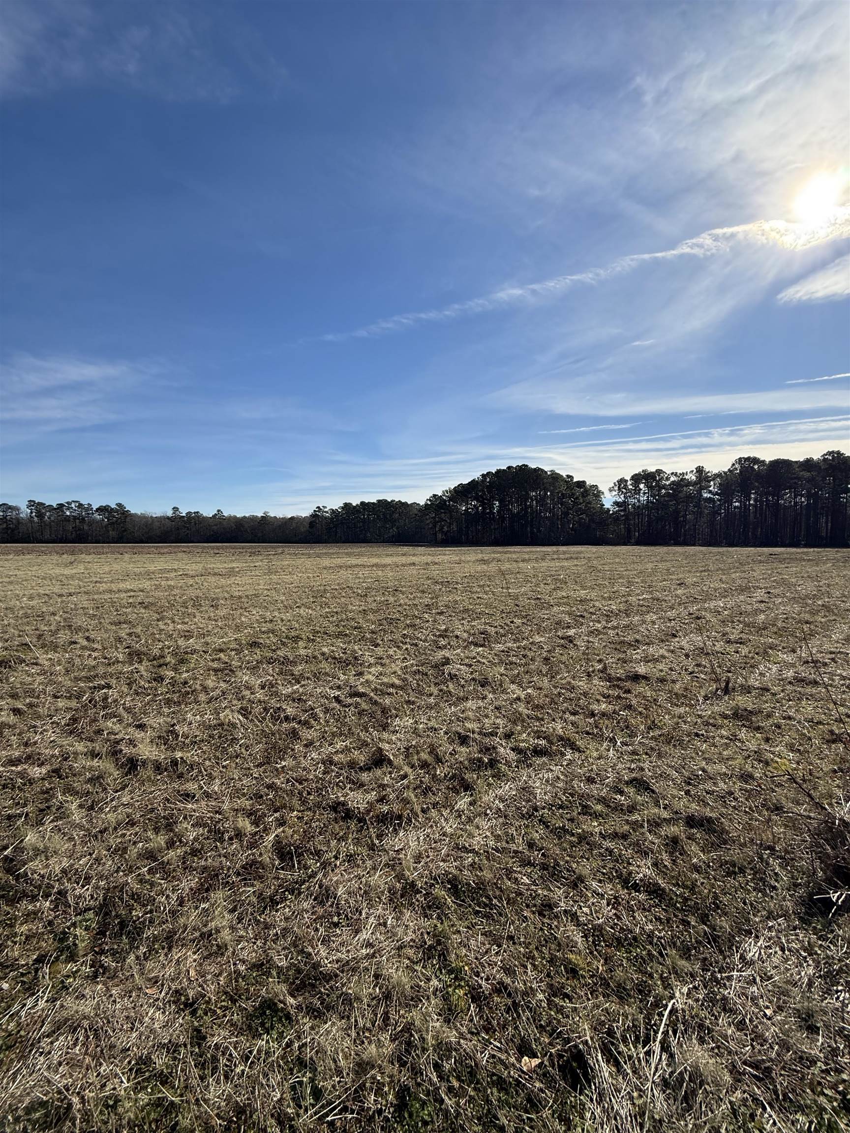 Lot 8 Johnson Shelly Road Conway, SC 29526 - Photo 8 of 10