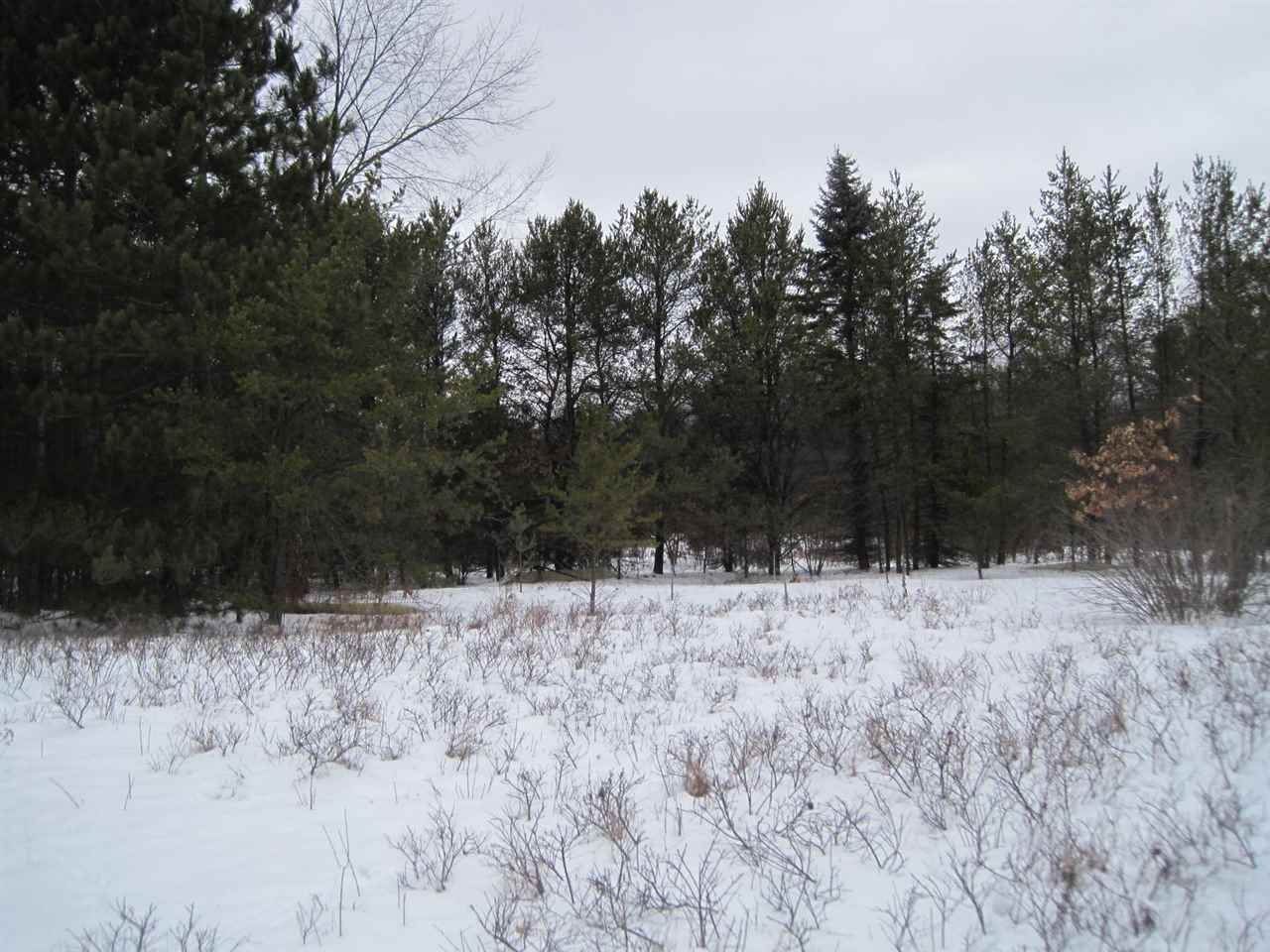 40-ac 40-ac Timm Road Wisconsin Rapids, WI 54494 - Photo 1 of 1