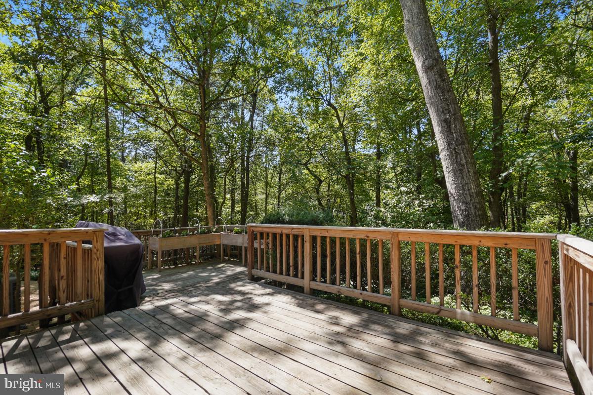 1871 Post Oak Trail Reston, VA 20191 - Photo 46 of 52