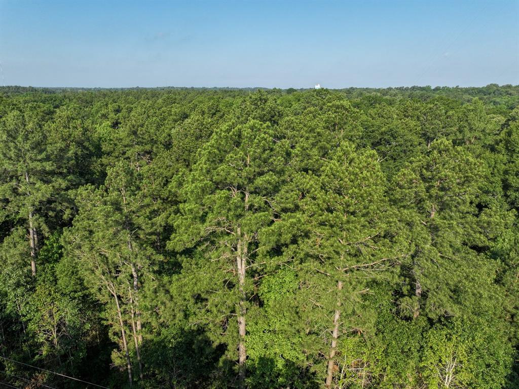 0 Golf Course Road Lufkin, TX 75901 - Photo 13 of 31 a view of a lush green field