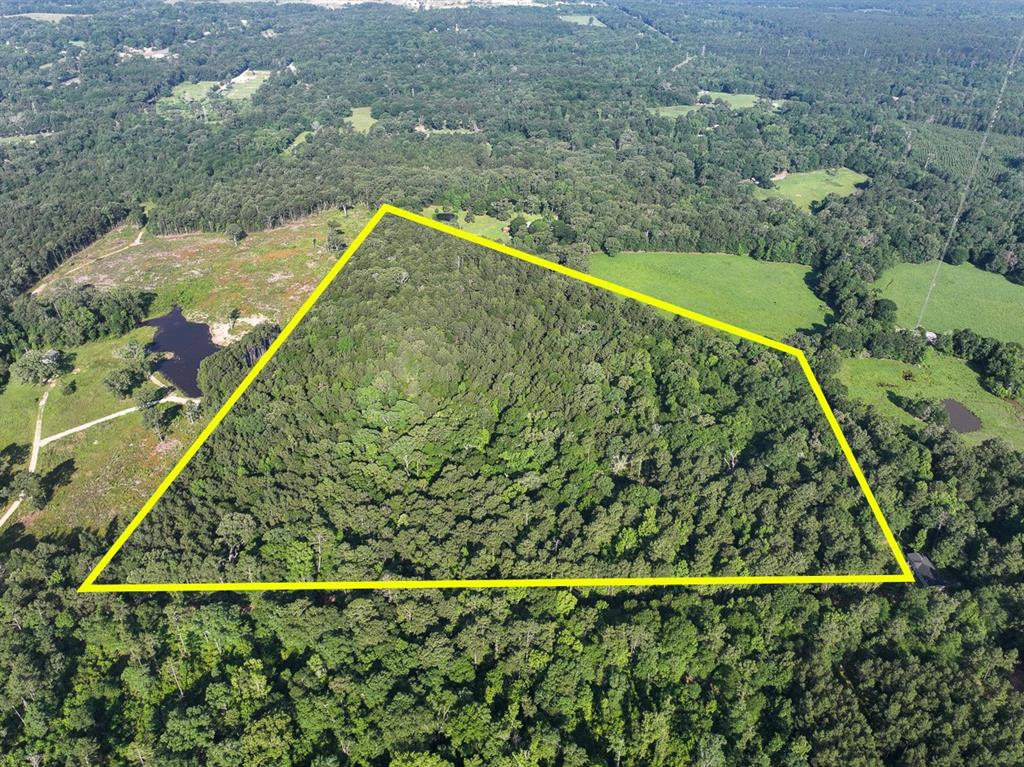 0 Golf Course Road Lufkin, TX 75901 - Photo 15 of 31 a view of a balcony