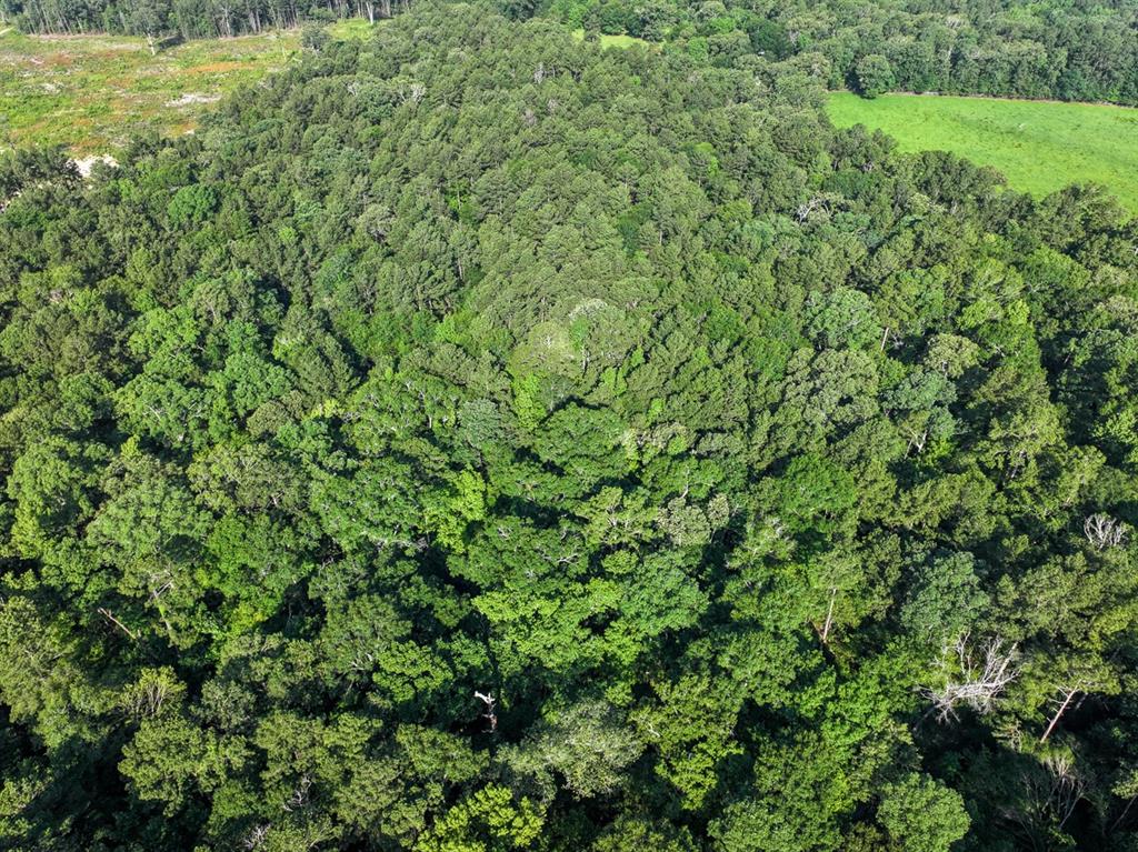 0 Golf Course Road Lufkin, TX 75901 - Photo 16 of 31