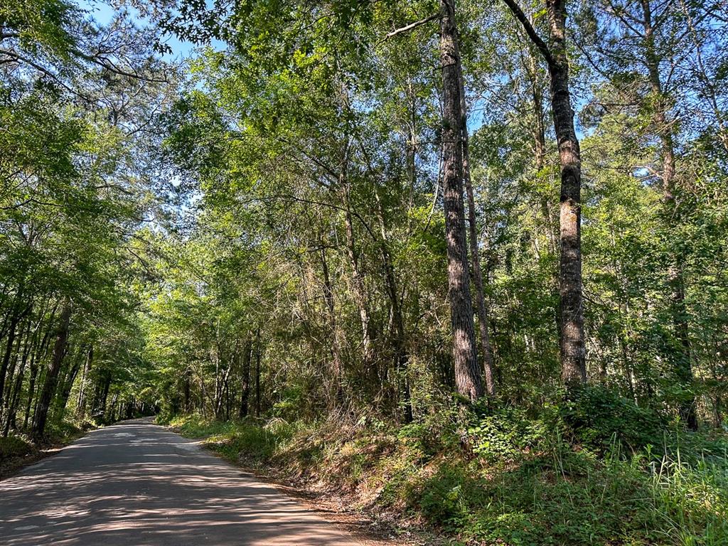 0 Golf Course Road Lufkin, TX 75901 - Photo 19 of 31 a view of a yard